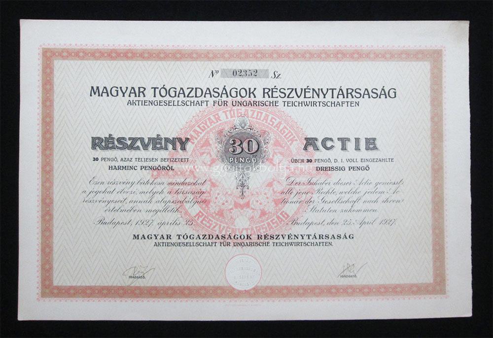Magyar Tógazdaságok részvény 30 pengõ 1927